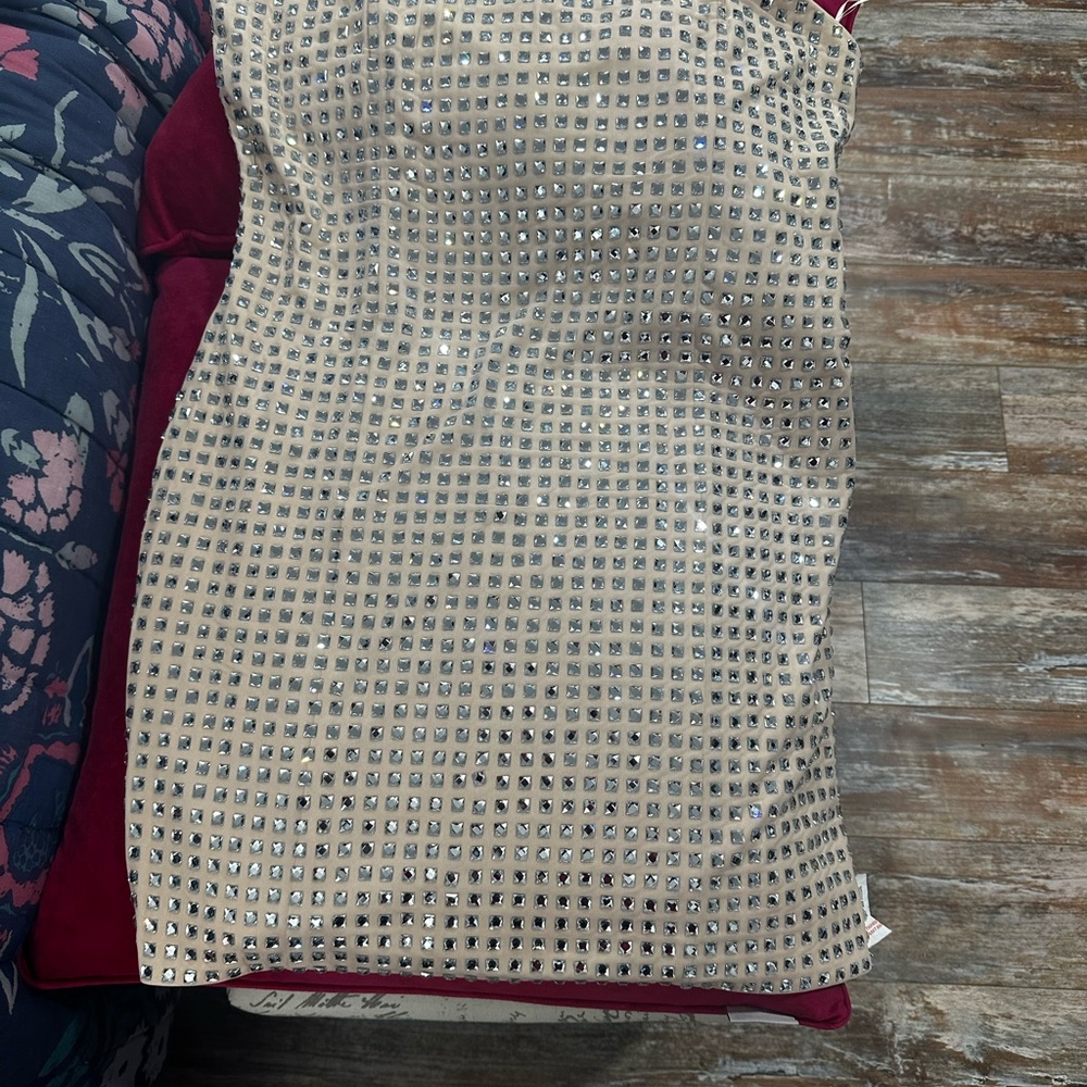 Zara Blush Pink Dress with Silver Accents sparkle forever